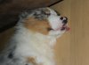 DSCN3328.jpg