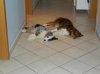 DSCN3338.jpg