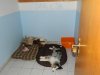 DSCN3343.jpg