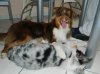 DSCN3366.jpg