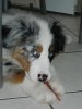 DSCN3378.jpg