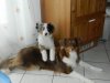 DSCN3390.jpg