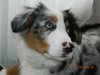 DSCN3437.jpg