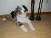 DSCN3448.jpg