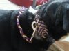 1. DIY Halsband u. Leine Sandy.jpg