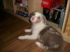 100_0060.jpg