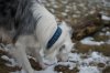 DSC_6116_1024.jpg