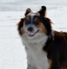DSC_0939.jpg