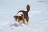DSC_0592.jpg