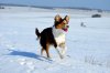 DSC_0630.jpg