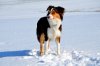 DSC_0696.jpg