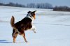 DSC_0792.jpg