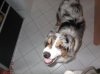 DSCF4647.jpg