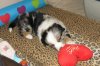 IMG_2183.jpg