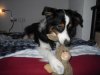 DSCN1052.jpg