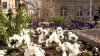 x2013-04-10-2970.jpg