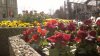 x2013-04-10-2973.jpg