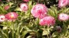 x2013-04-10-2979.jpg