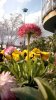 x2013-04-10-2980.jpg