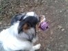 2012-03-01 13.42.44.jpg