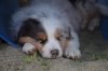DSC_1636.jpg