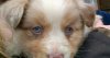 IMG_20130422_225210.jpg
