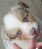 IMG_20130422_225239.jpg