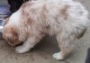 IMG_20130423_195342.jpg