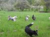 DSCN1525.jpg