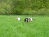 DSCN1531.jpg