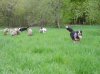 DSCN1533.jpg