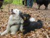 DSCN1536.jpg