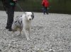 DSCN1549.jpg
