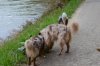 DSC_2580.jpg