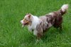 DSC_2605.jpg