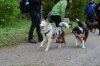 DSC_2614.jpg