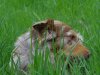 DSC00202.jpg