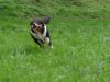 DSC00203.jpg