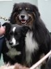 DSC00226.jpg