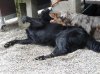 DSC00220.jpg