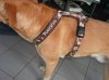 PICT0005.jpg