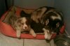 IMG-20130412-WA0002.jpg