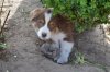 DSC_1577.jpg