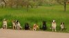 DSC02858.jpg