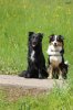 IMG_7452 copyright klein.jpg