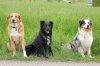 IMG_7534 b1 copyright klein.jpg