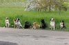 IMG_7543 b1 copyright klein.jpg