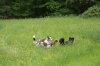 2013_05_11 Aussie-Treffen Maulbronn 39.jpg