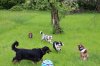 2013_05_11 Aussie-Treffen Maulbronn 35.jpg