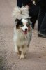 2013_05_11 Aussie-Treffen Maulbronn 56.jpg